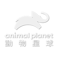 动物星球(音轨)